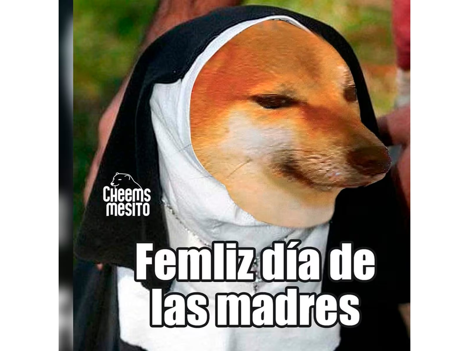 WHATSAPP | También puedes emplear este meme de Cheems. (Foto: Memegenerator)