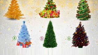 Descubrirás la clase de persona que eres, de acuerdo a tu árbol de Navidad favorito