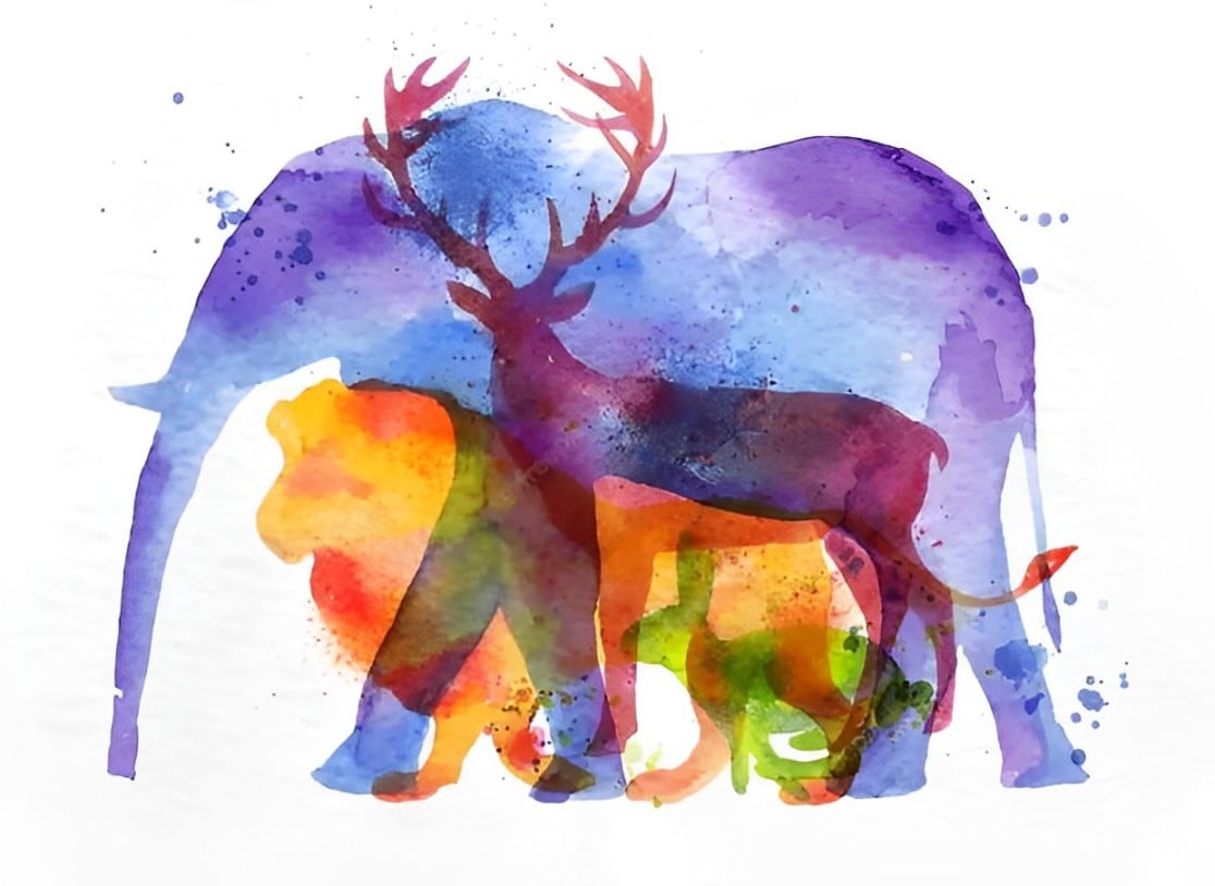 Test visual: conoce cuál es tu principal virtud según qué animal ves en la imagen (Foto: GenialGuru).