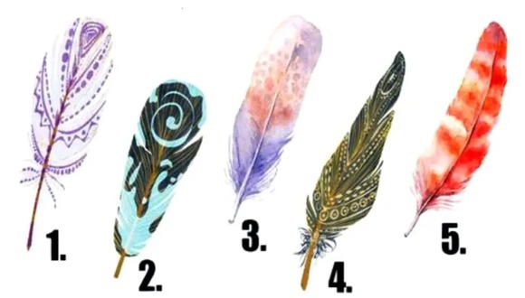 TEST VISUAL | En esta imagen puedes apreciar bastantes plumas. Elige una. (Foto: namastest.net)
