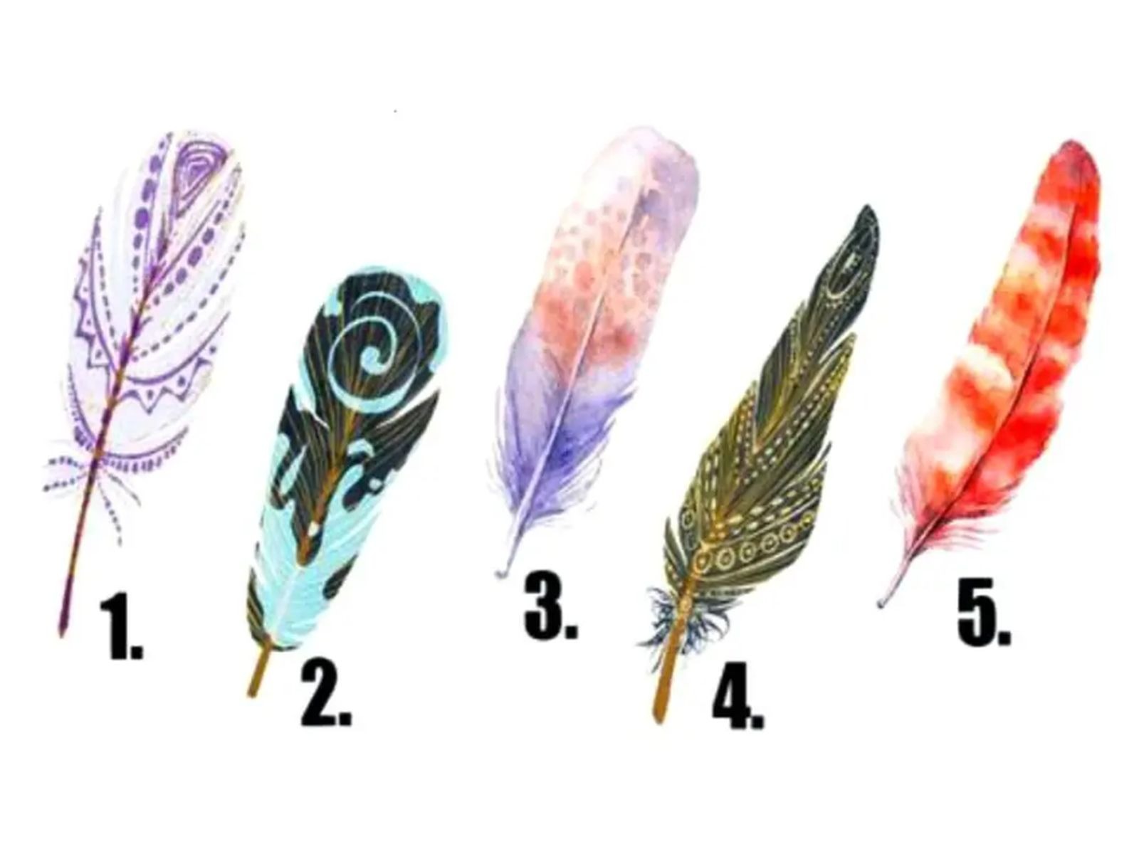 TEST VISUAL | En esta imagen puedes apreciar bastantes plumas. Elige una. (Foto: namastest.net)