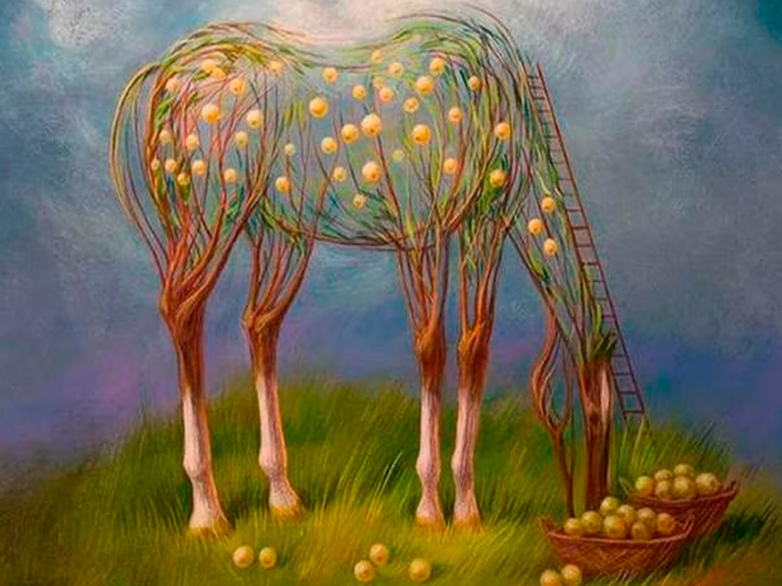 Solo enfócate en la gráfica del test visual y trata de identificar algún elemento. Este te guiará hacia los resultados. | Foto: Oleg Shuplyak