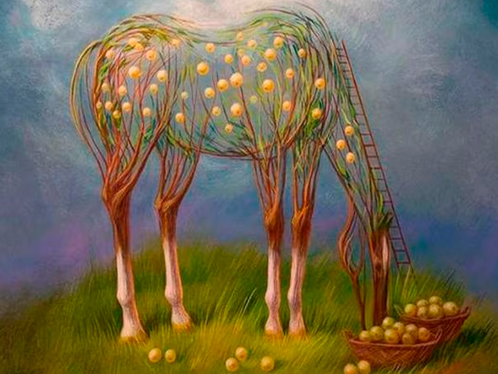 Solo enfócate en la gráfica del test visual y trata de identificar algún elemento. Este te guiará hacia los resultados. | Foto: Oleg Shuplyak