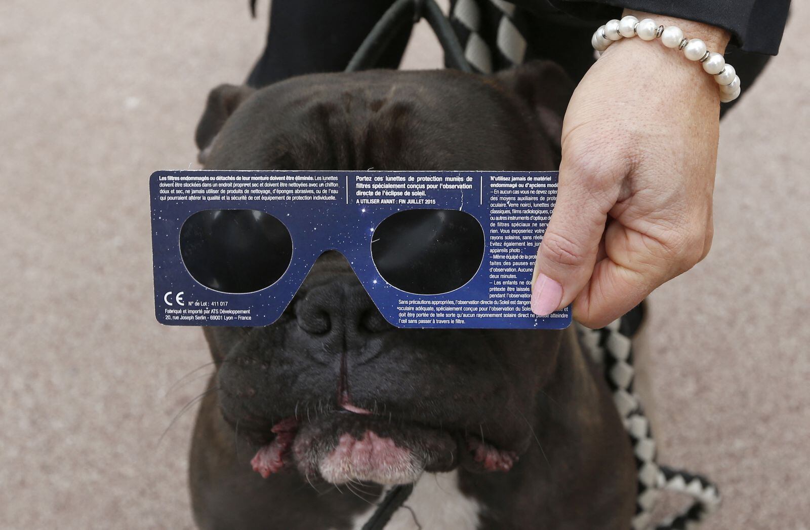 No recomiendan ponerles lentes para ver el eclipe (Foto: AFP)