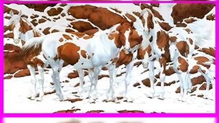 Reconoce cómo es tu carácter con responder cuántos caballos puedes contar aquí