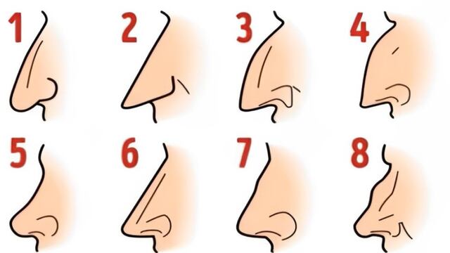 Test de personalidad: según la forma de tu nariz sabrás tu mayor virtud o defecto