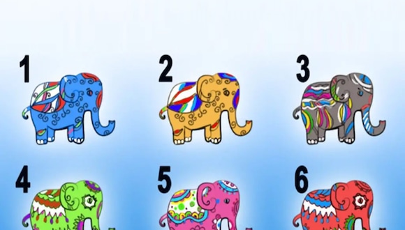 TEST VISUAL | En esta imagen hay varios elefantes. Tienes que escoger uno. (Foto: namastet.net)