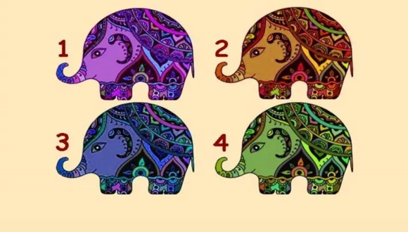 TEST VISUAL | Cada elefante está ocultando una información sumamente interesante. (Foto: Namastest)