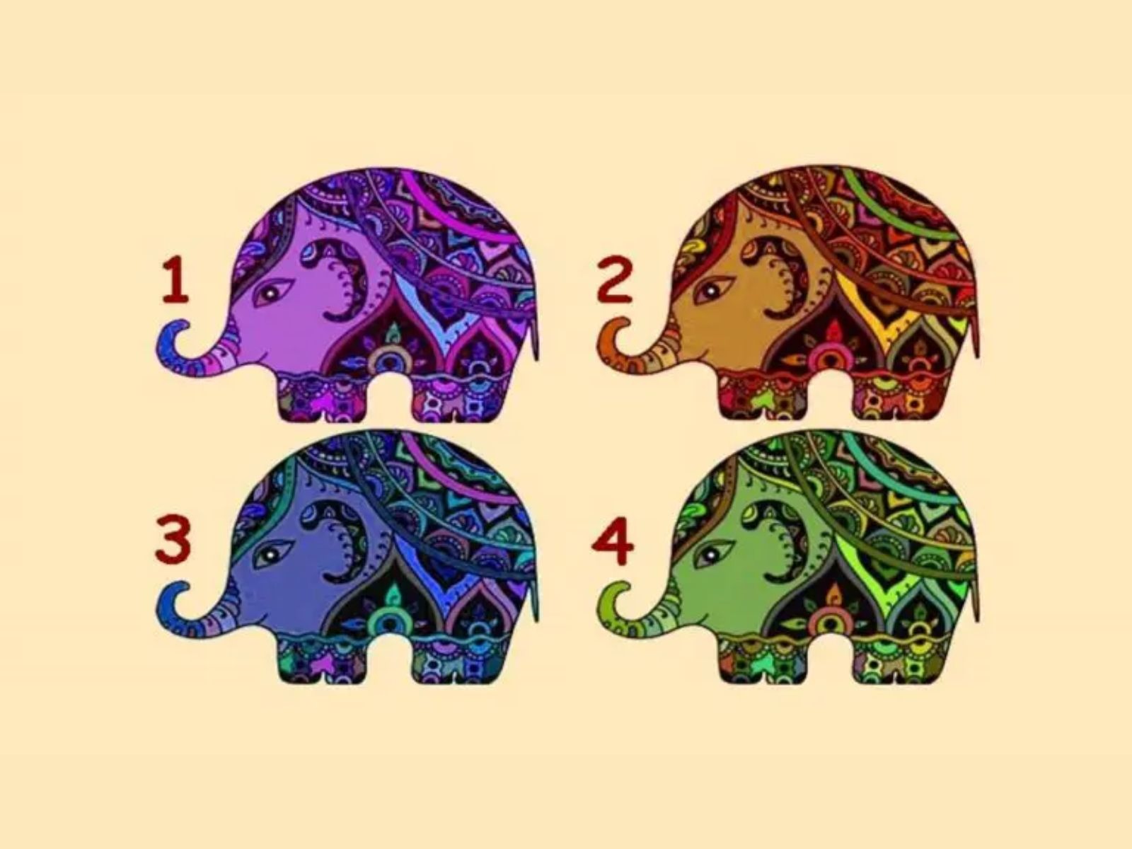 TEST VISUAL | Cada elefante está ocultando una información sumamente interesante. (Foto: Namastest)