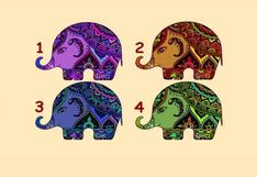 Tu fortaleza más resaltante será revelada al seleccionar un elefante