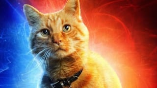 "Capitana Marvel": Goose, el gato, fue 80% CGI en sus escenas por este motivo