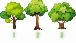 Descubre tu rasgo más dominante al seleccionar uno de estos árboles