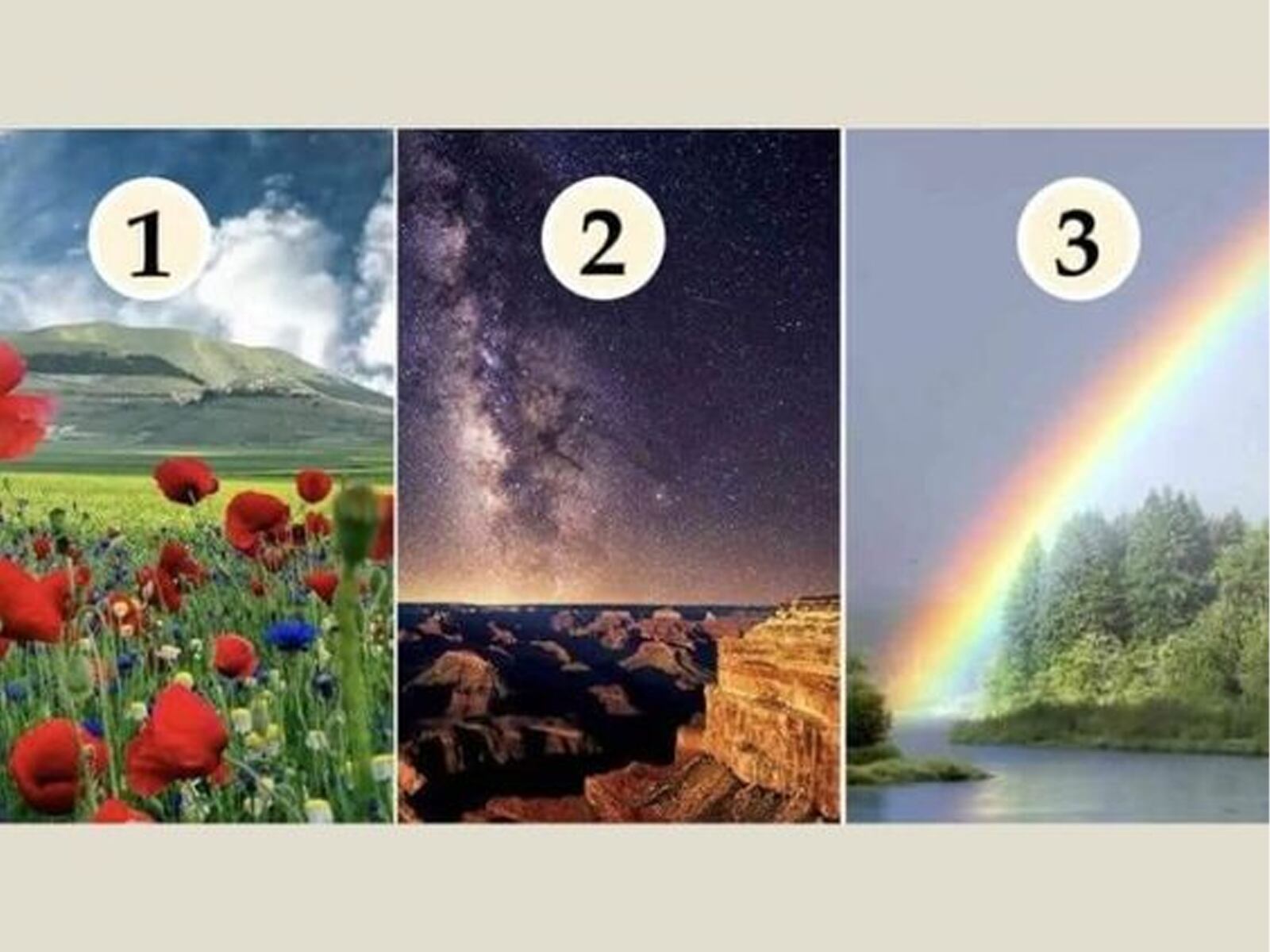 TEST DE PERSONALIDAD | La imagen que más te llame la atención puede revelar tus necesidades más urgentes. Participa y explora qué es lo que necesitas con urgencia para mejorar tu bienestar y equilibrio emocional.