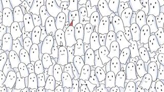 Que no te ‘ghosteen’: mira más allá de lo evidente y ubica la foca escondida entre los fantasmas [FOTOS]