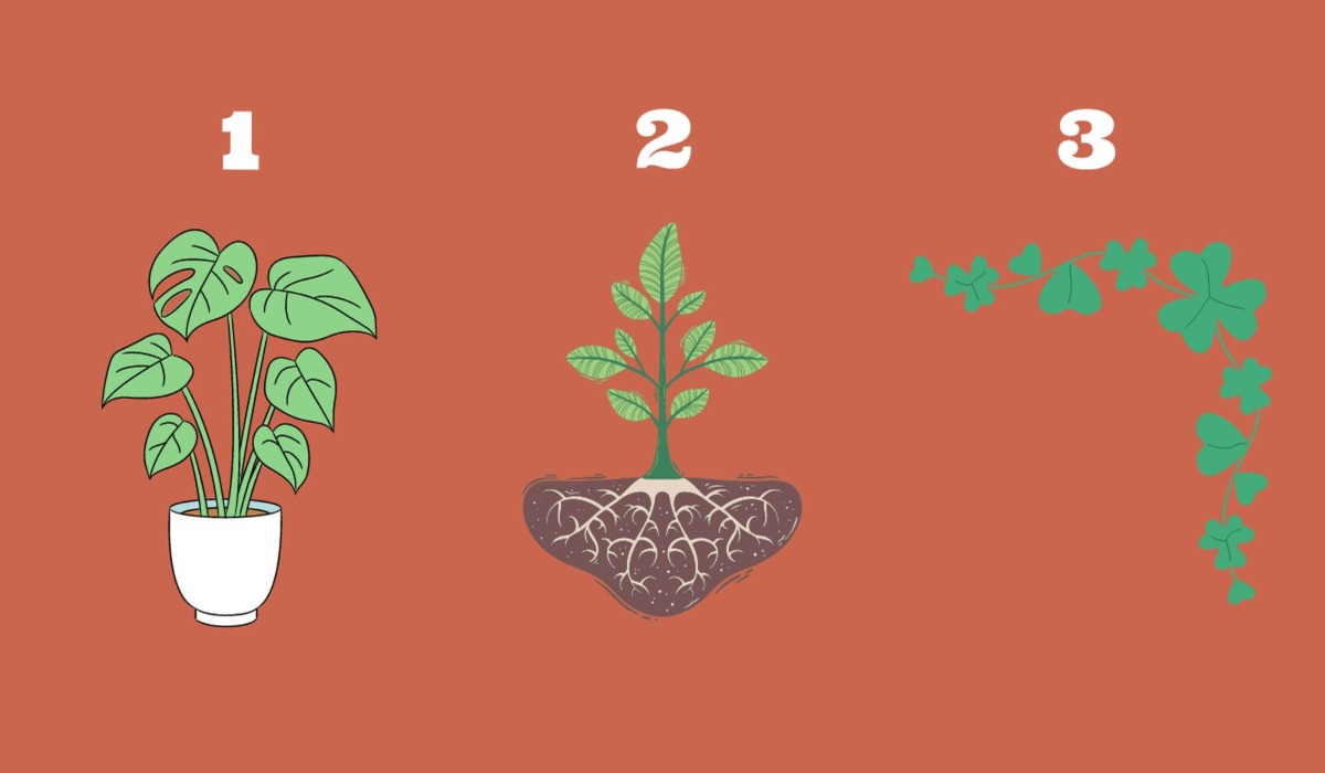 Elige una de las plantas y descubre nuevos aprendizajes. (Foto: Tiempox)