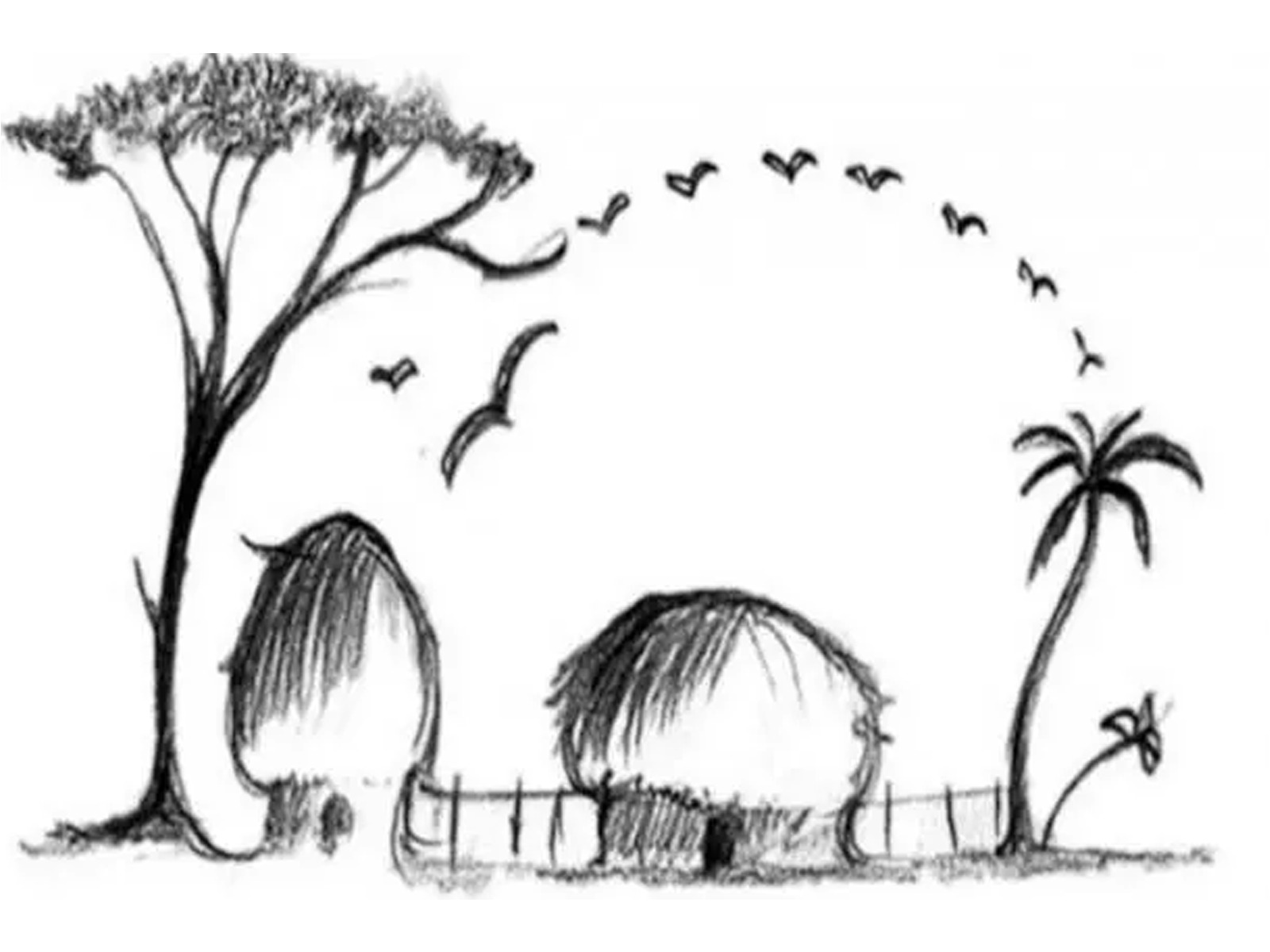 TEST VISUAL | La imagen de esta alucinante ilusión óptica que ves primero revela la probabilidad de que seas infiel. | The Sun