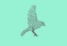 Tus habilidades más sorprendentes serán reveladas con indicarme qué visualizas primero