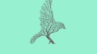 Tus habilidades más sorprendentes serán reveladas con indicarme qué visualizas primero