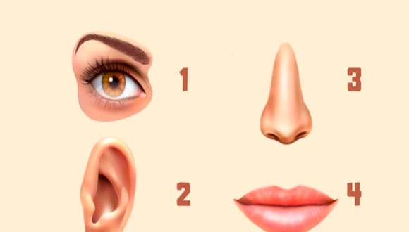 Te muestro cuatro opciones en esta imagen: ojos, nariz, oreja y labios. Escoge la parte que más te guste de tu cuerpo y conocerás los resultados del test de personalidad. | Foto: genial.guru
