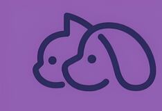 Observa la gráfica y podrás descubrir qué tan responsable eres en tu vida diaria