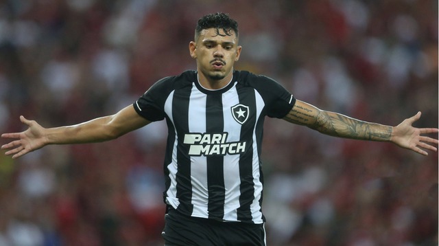 Tiquinho Soares - Botafogo (Foto: Agencias)