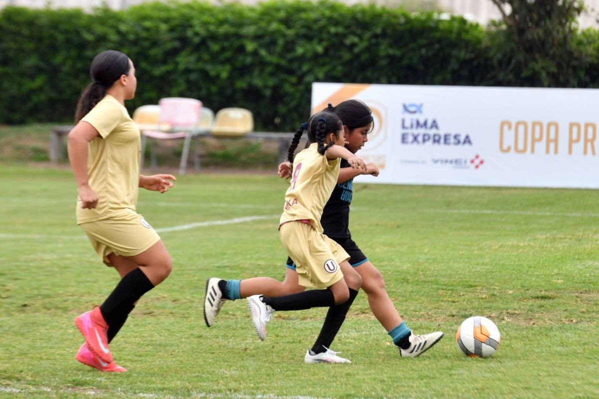 La competencia reúne a 24 equipos, distribuidos en tres categorías: Sub-10, Sub-12 y Sub-14. (Foto: Difusión)