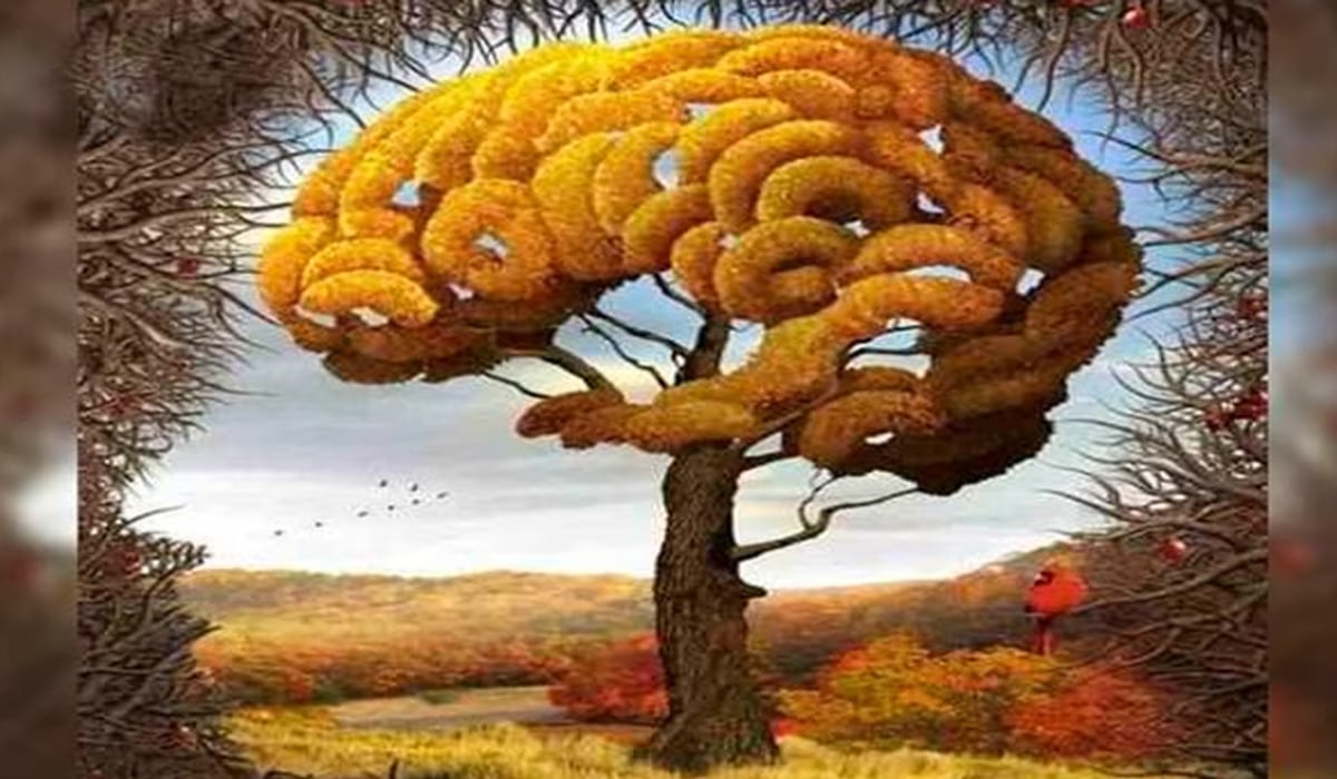 Lo primero que eliges define tu tipo de inteligencia. (Foto: Difusión)