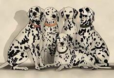 Desafía tu vista encontrando al oso panda escondido entre los dálmatas en este reto visual