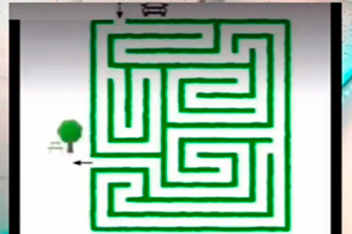 Analiza con mucha atención la imagen y trata de encontrar el camino de salida del automóvil.| Foto: genial.guru