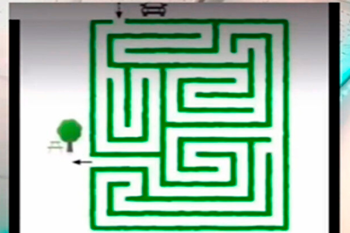 Analiza con mucha atención la imagen y trata de encontrar el camino de salida del automóvil.| Foto: genial.guru