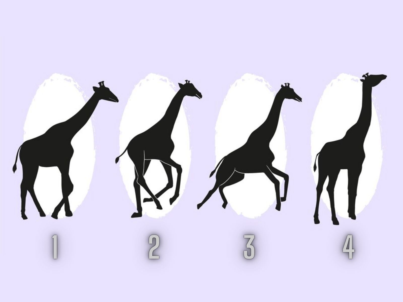 TEST VISUAL | Analiza y escoge cuál de estas jirafas te llama la atención. (Foto: Composición Freepik / Depor)