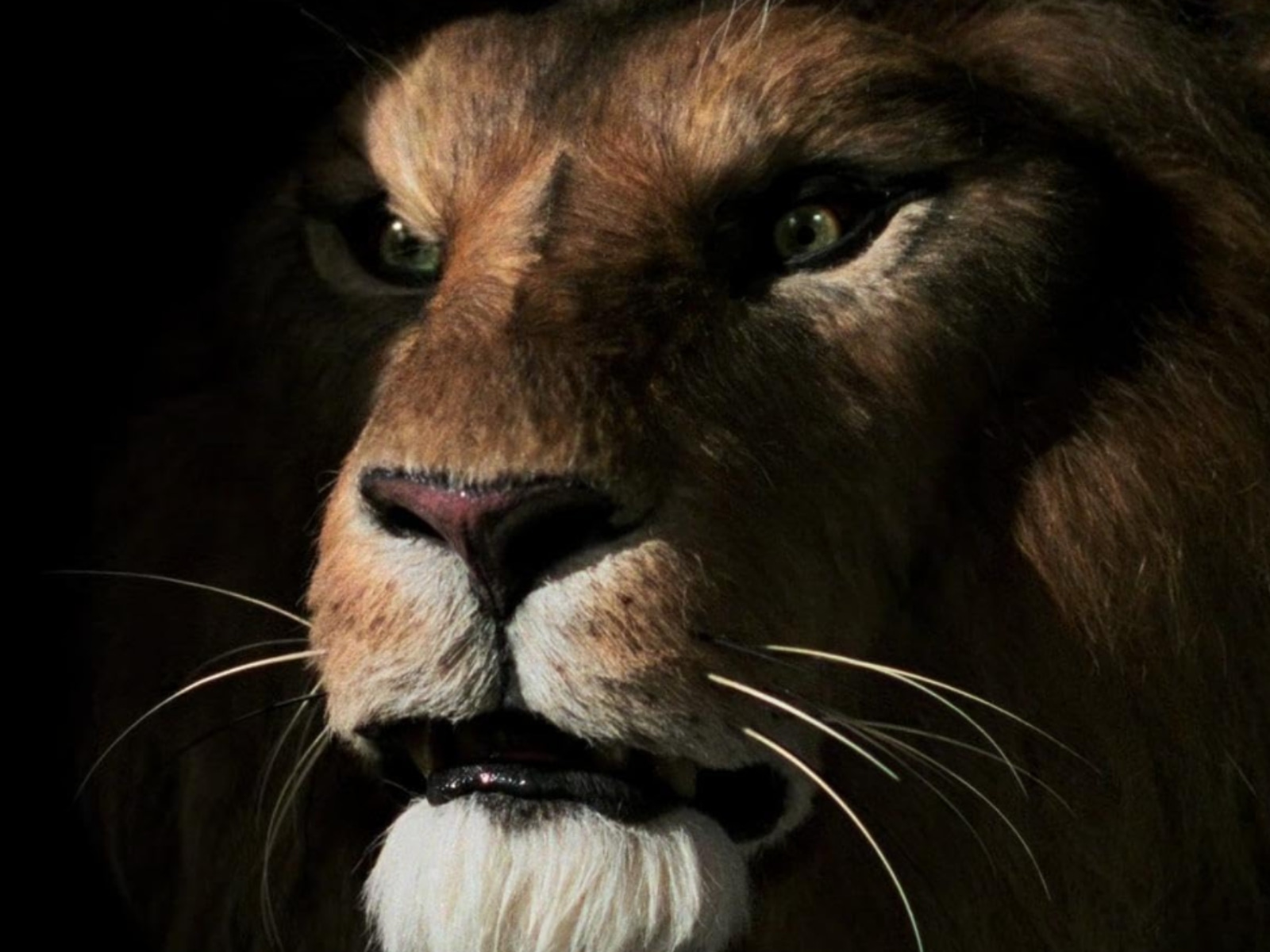 “Jumanji” fue un éxito en los cines y recaudó más de 262 millones de dólares. Fue estrenada en 1995 (Foto: Teitler Film)