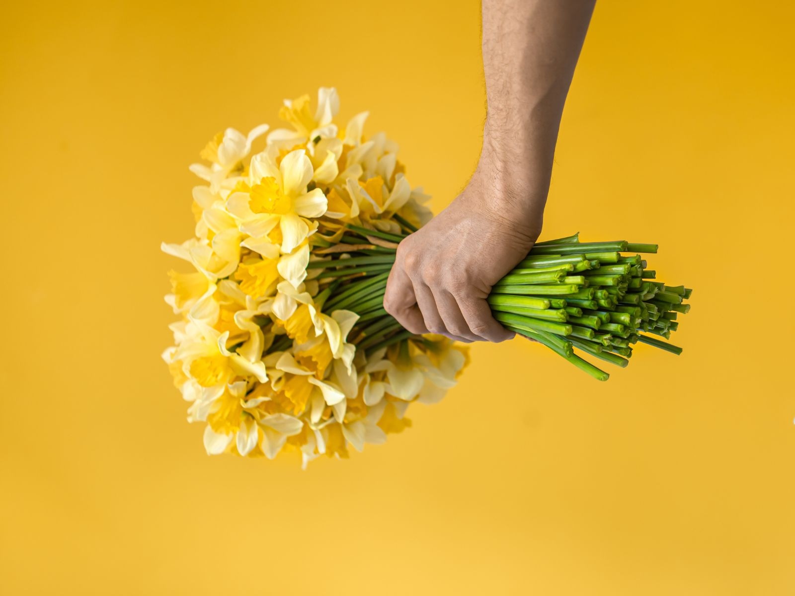Frases de amor sobre flores amarillas para enviar a tu pareja este 21 de marzo en México | Foto: freepik.es