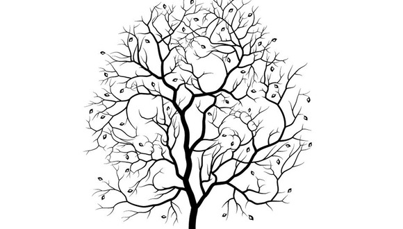 DESAFÍO VISUAL | Tienes visión 20/20 si puedes detectar a los conejos escondidos en este árbol en menos de 15 segundos. | Shutterstock