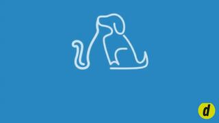 Descubre si guardas rencor fácilmente desarrollando esta ilusión óptica