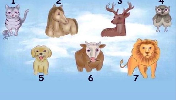 TEST DE PERSONALIDAD | Observa las imágenes de los siguientes animales y elige el que más te llame la atención. Luego, descubre cuál es la característica de tu personalidad que más te define según tu elección.