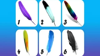 Descubrirás quién eres cuando indiques cuál es tu pluma favorita