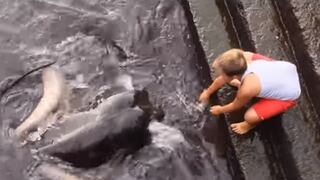 Espeluznante criatura asusta a niño que jugaba tranquilamente en la orilla del mar