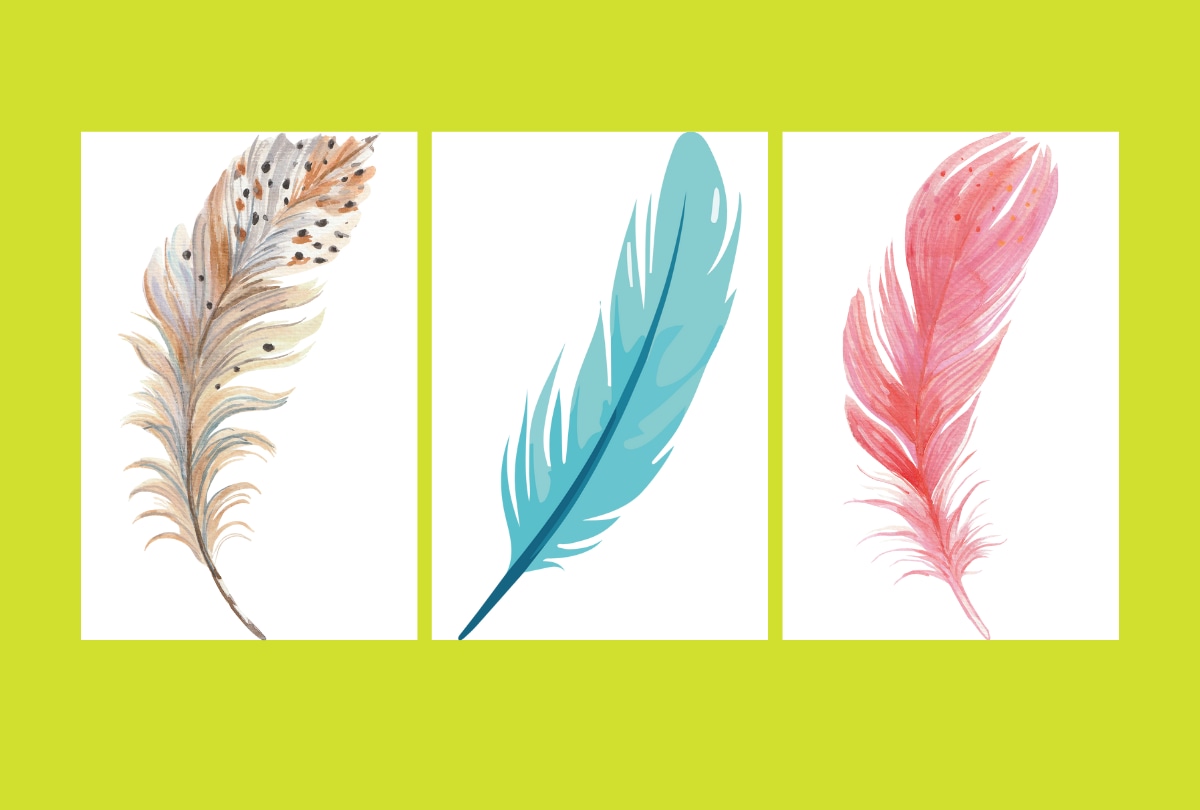 Solo tienes que observar la imagen y elegir la pluma que más te atrae. Cada elección revela algo único sobre tu forma de ser y tus sueños. (Depor)