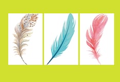 Test de personalidad: descubre si eres un soñador eligiendo la pluma que más te atrae