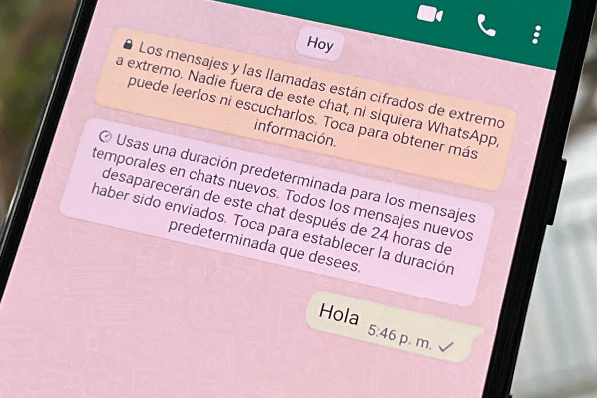 Un solo check gris puede representar que esa persona te ha bloqueado en WhatsApp. (Foto: MAG - Rommel Yupanqui)