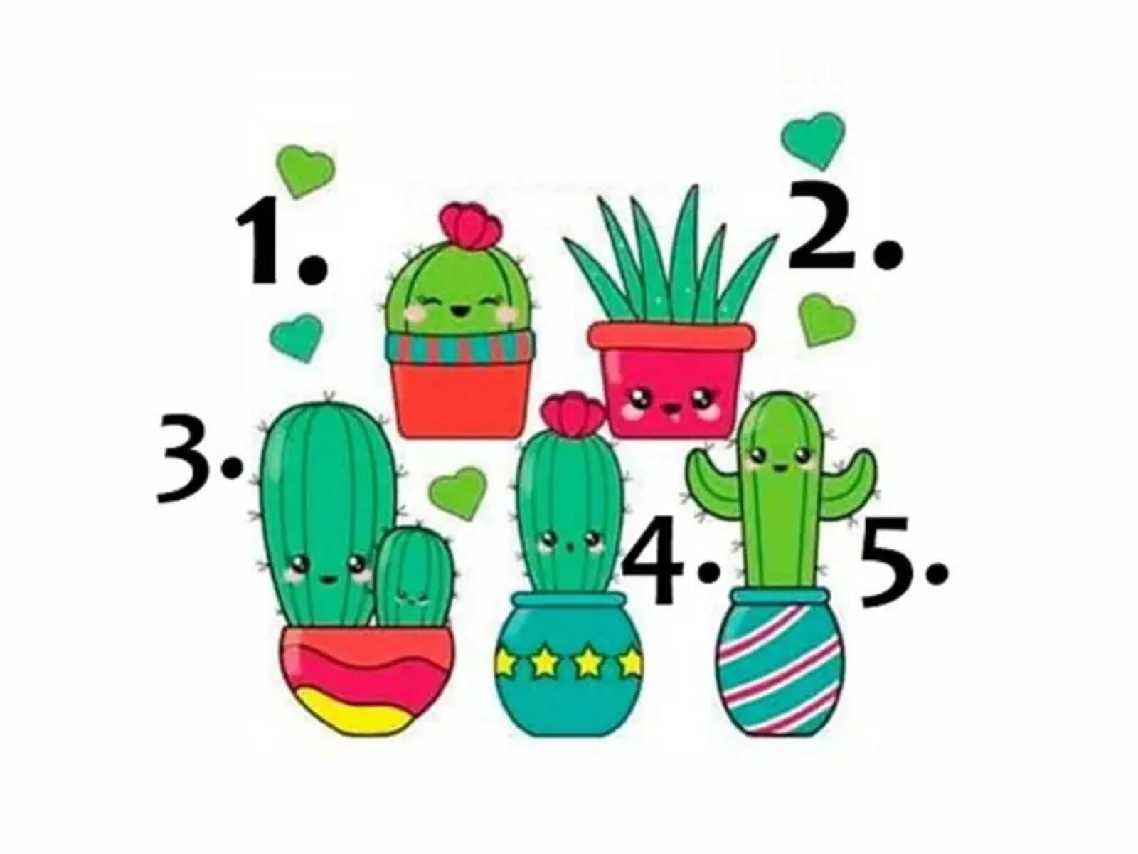 TEST VISUAL | Esta imagen te muestra cinco cactus. Debes escoger uno. (Foto: namastest.net)