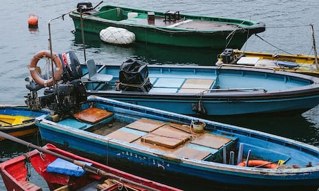 Bienestar: ¿qué es el Bienpesca y quiénes pueden recibir el beneficio económico?