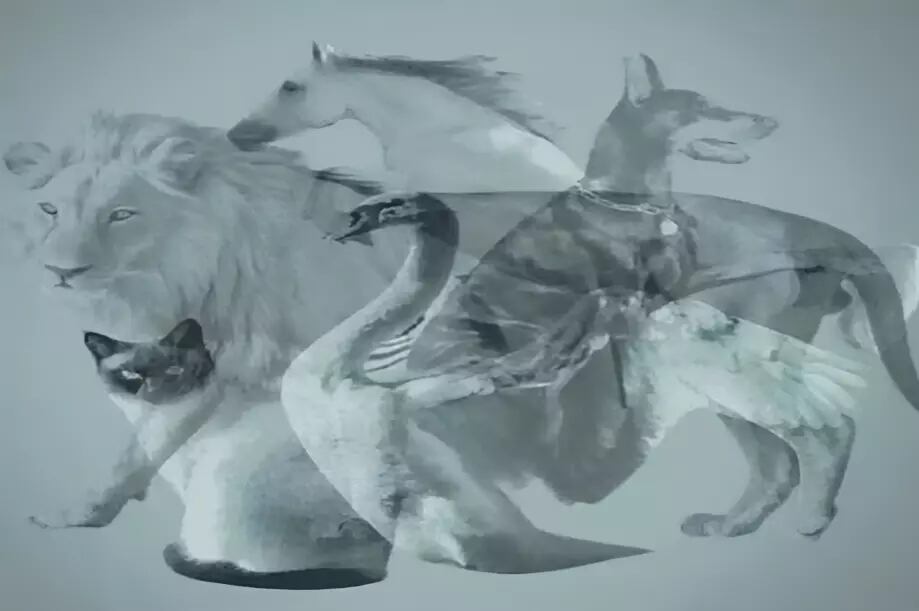 El primer animal que veas en la imagen revelará cuál es tu tipo de personalidad (Foto: GenialGuru).