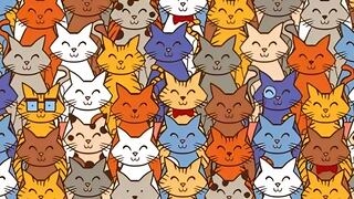 Reto visual: ¿puedes encontrar al conejo escondido entre los gatos en menos de 7 segundos?