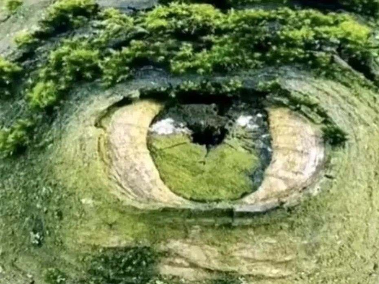 TEST VISUAL | En este test de personalidad con ilusión óptica, tenemos una imagen que puede representar un ojo o una zanja rodeada de árboles, según la percepción individual. Se dice que lo que ves primero revela tu miedo más profundo.