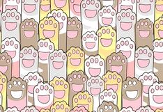 Encuentra la garra de gato diferente en menos de 10 segundos ¡Casi nadie lo logra!