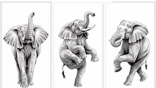 Escoge uno de los elefantes en la imagen para descubrir cuáles son tus fortalezas