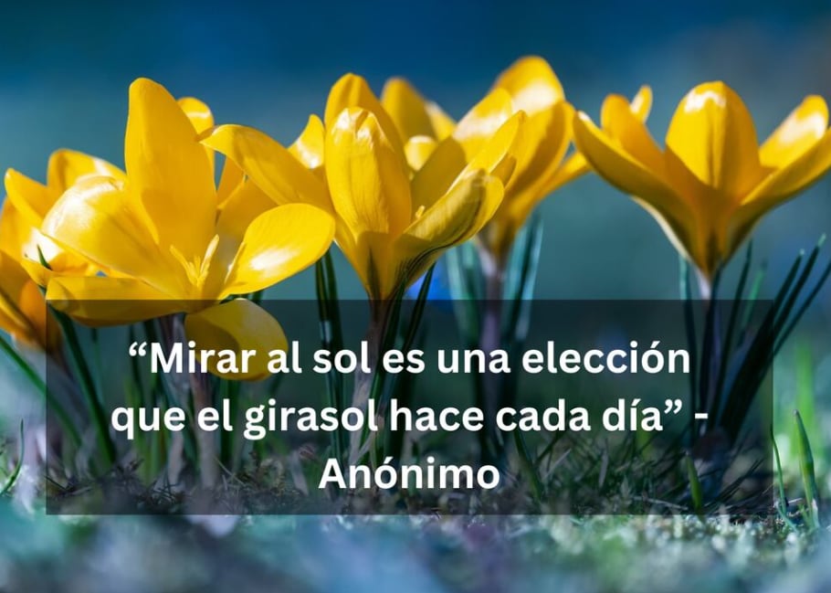 “Mirar al sol es una elección que el girasol hace cada día” - Anónimo | Imagen de Ilo en Pixabay / Depor.