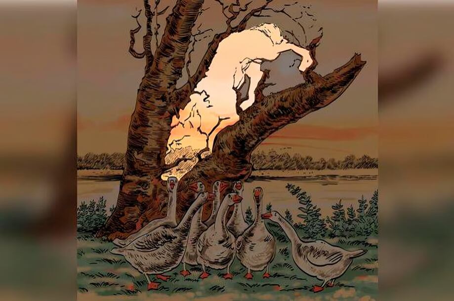 ¿Puedes encontrar al zorro oculto en el paisaje en 13 segundos? Solo aquellos con gran habilidad lo lograrán (Foto: Depor)